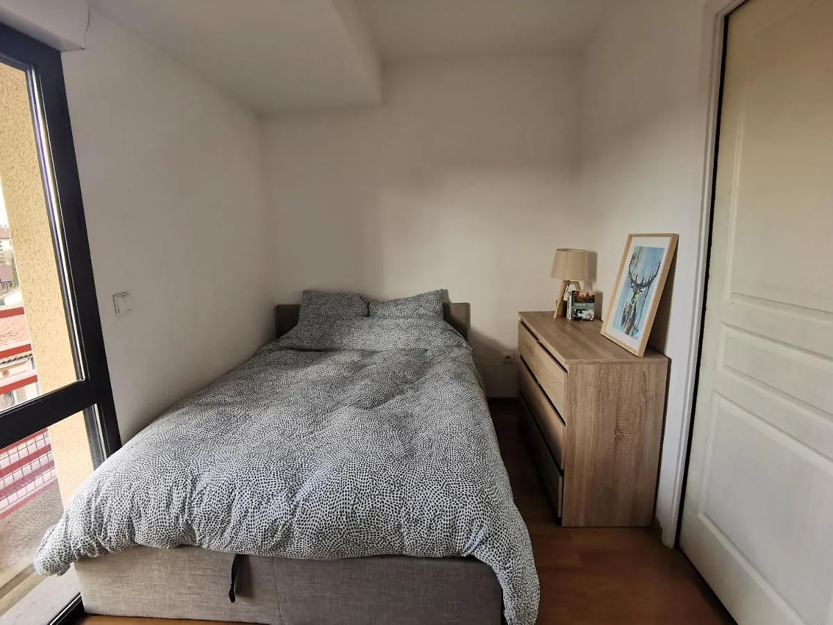 T1Bis Moderne, Lumineux, Belle-Vue, Patte D'Oie, Parking Apartment Toulouse 0*,  France
